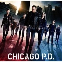 Chicago PD Season 10 Episode 17