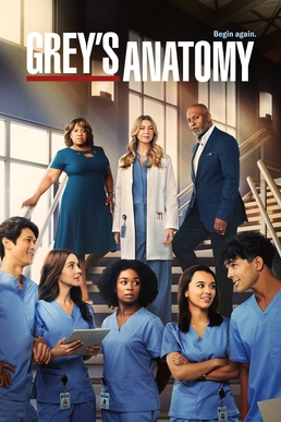 Grey’s Anatomy Season 19 Episode 12 ￼Pick Yourself Up